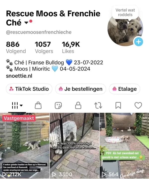 TikTok-profiel van Moos en Ché, de vastgemaakte video met 212K weergaven